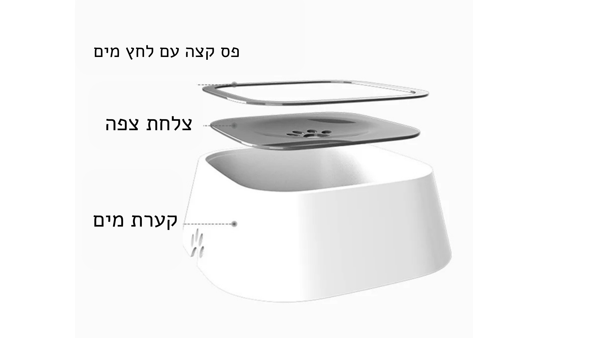 קערת מים צפה לחיות מחמד