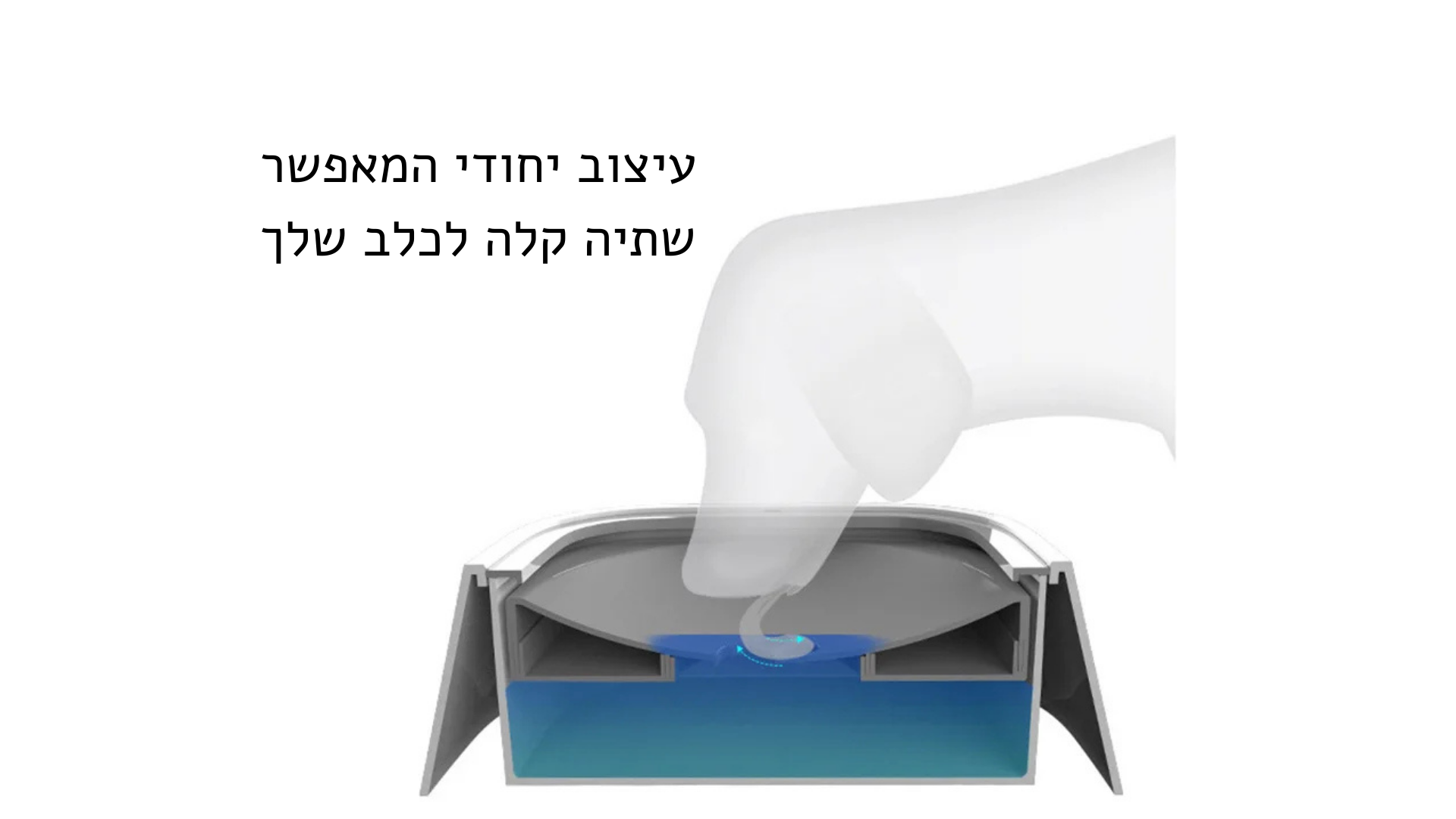 קערת מים צפה לחיות מחמד