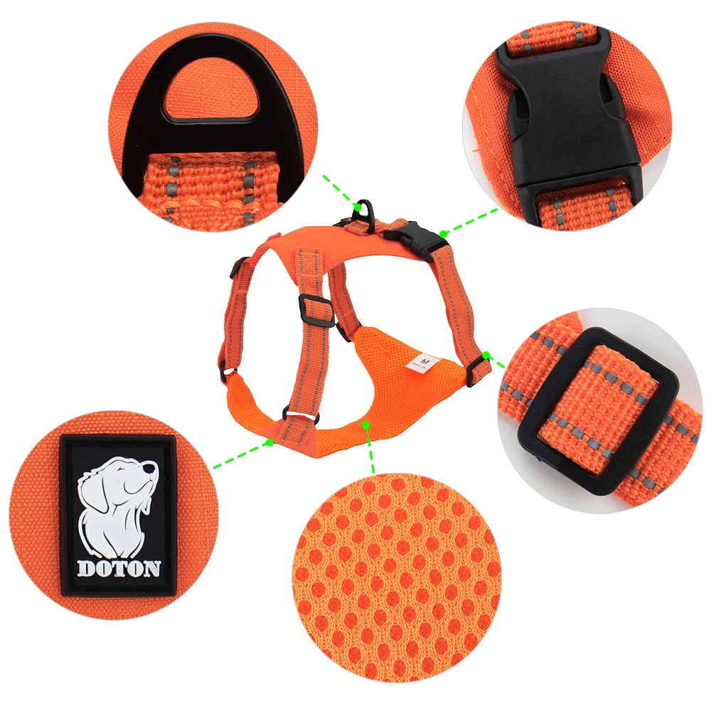 רתמה לכלב גדול