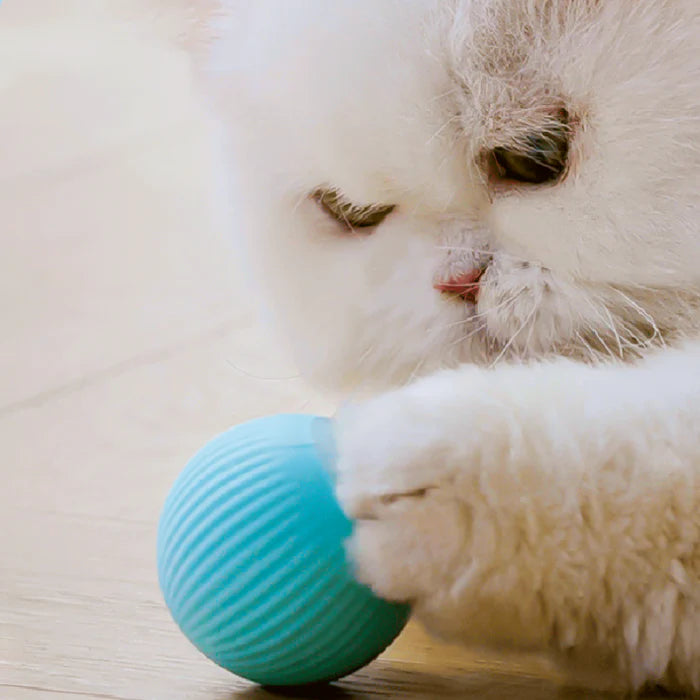 כדור משחק חשמלי